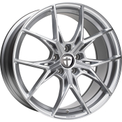 TN29 silver painted